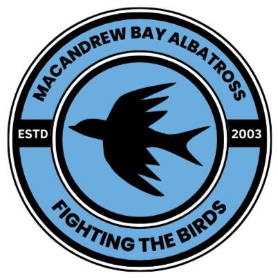 Macandrew Bay Albatross