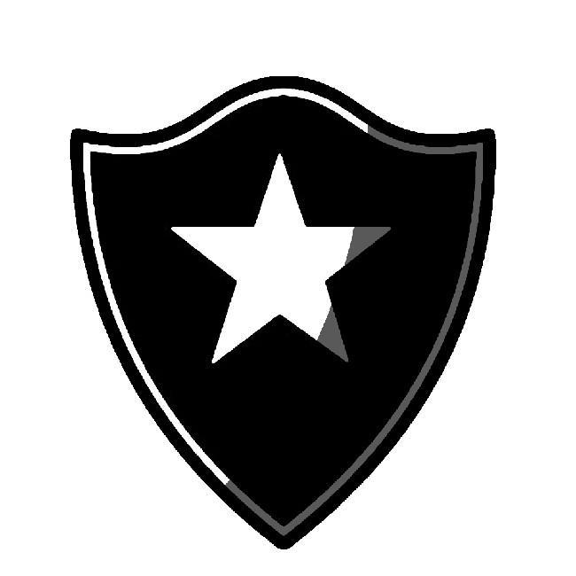Botafogo F.C - Rio Branco