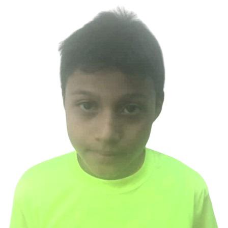 ALEX MANUEL D J. CASTRO LOVERA