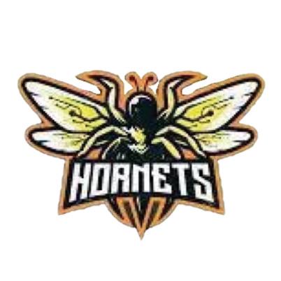 Hornets