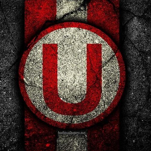 U. DE DEPORTES - Mateo Busse