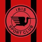 Ibis