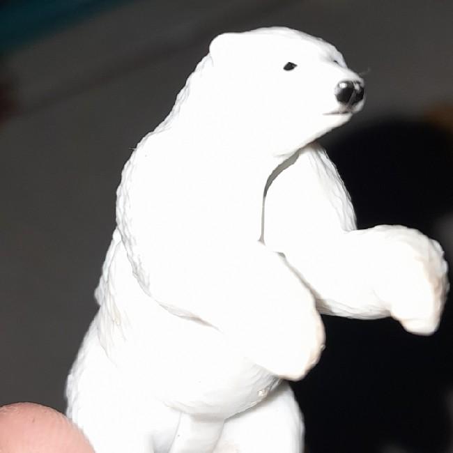 Urso polar