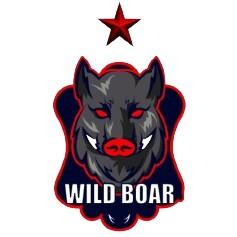 TEAM WILD BOARD