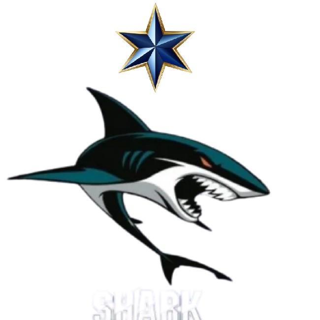 TEAM SHARK