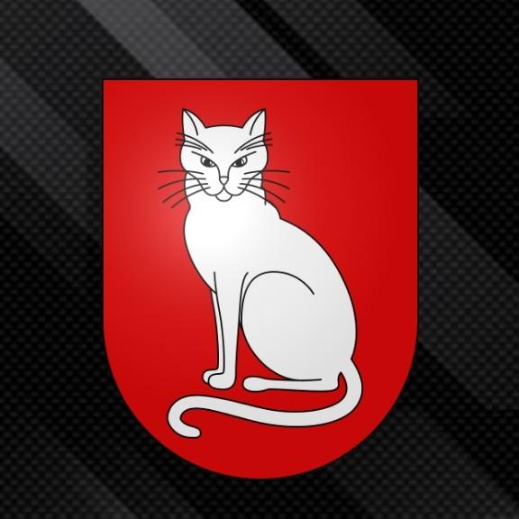 Gatos FC