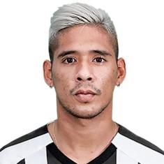 M.zaracho