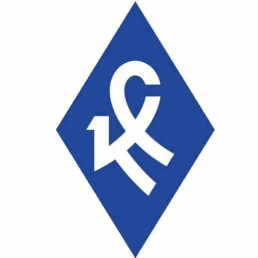 Крылья Совестов