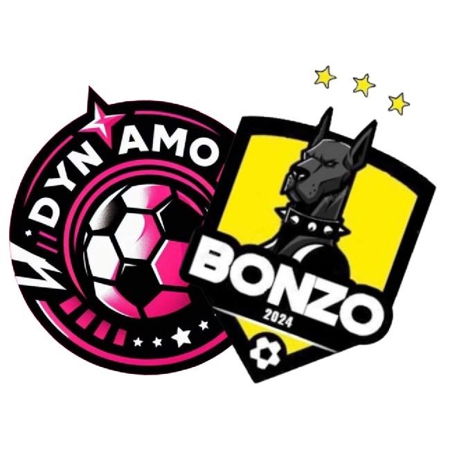 Dynabonzo