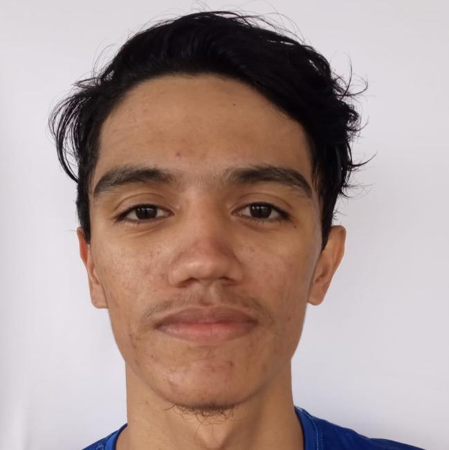 Luís Henrique Firmino de Freitas