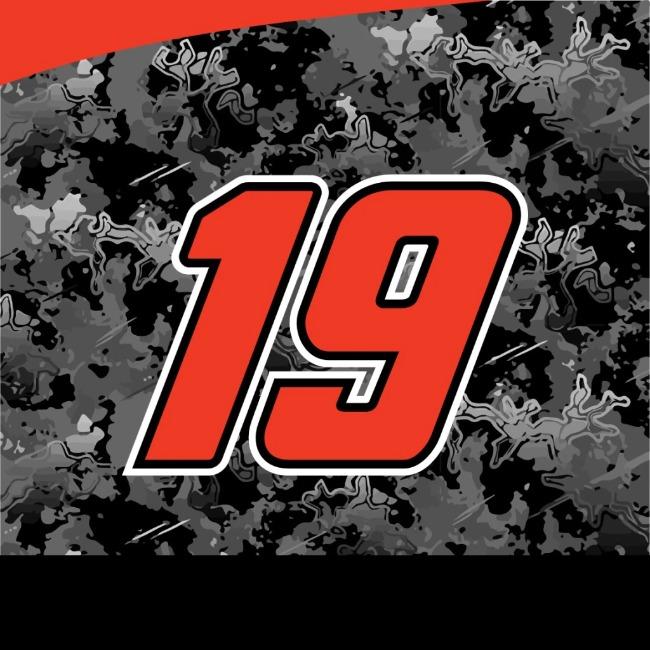 Martin Truex Jr #19