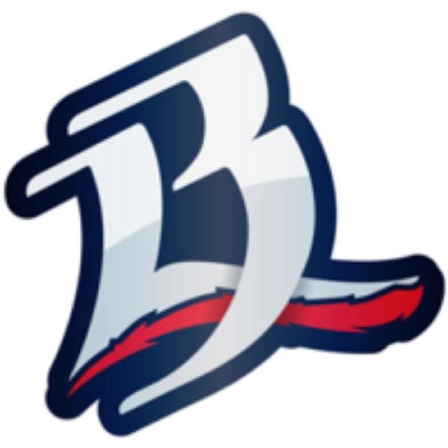 BRAVOS DE LEON