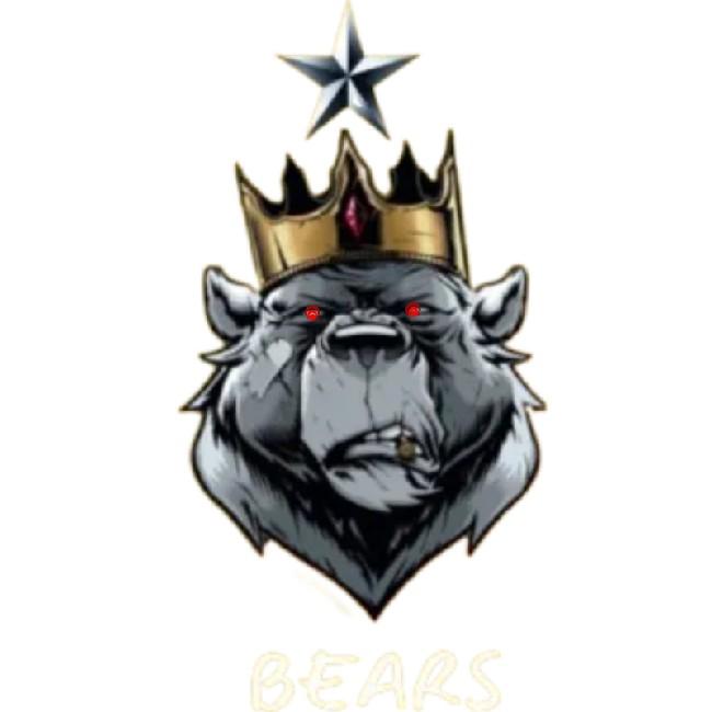 TEAM BEARS