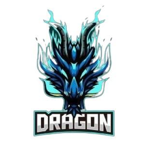 TEAM DRAGON