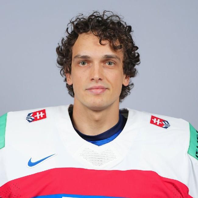 SKORVANEK Stanislav