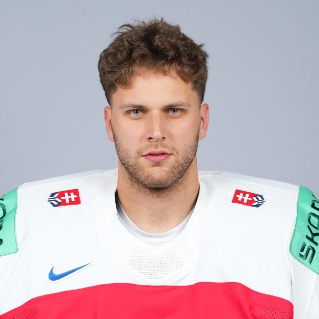 HLAVAJ Samuel