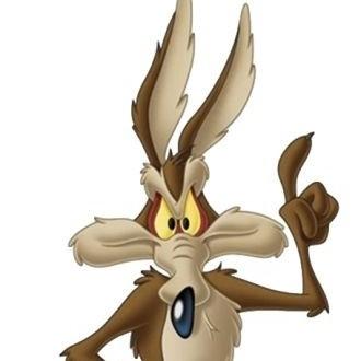 Coyote
