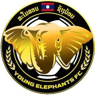 Young Elephans (Laos)