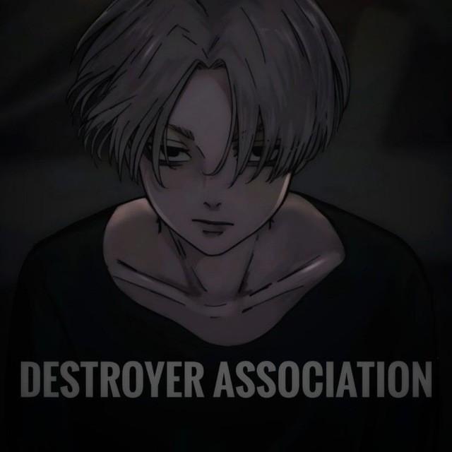 Destroyer Association