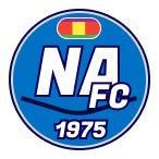 FC Novo-Arkhangelsk