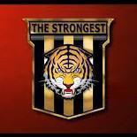 THE STRONGEST (BOL)