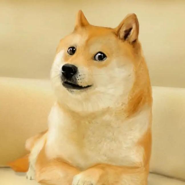 Doge