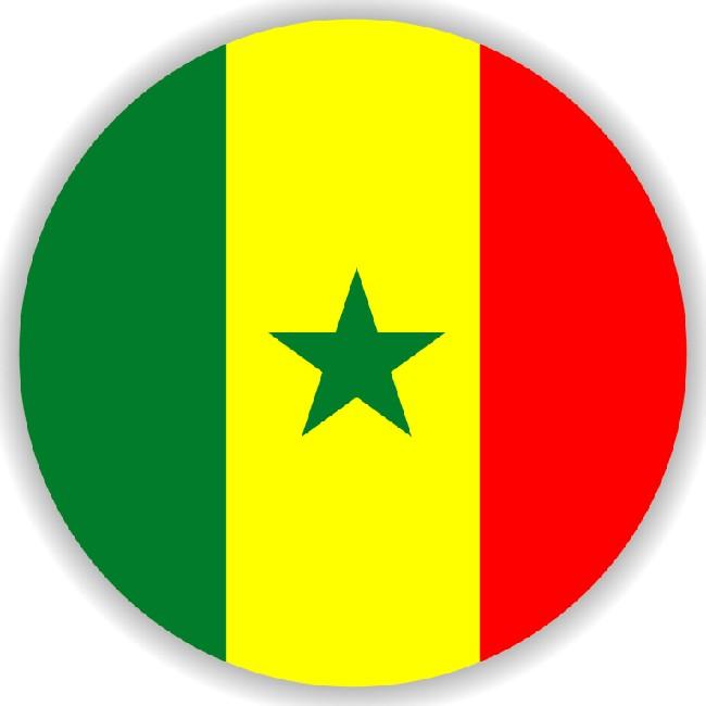 🇸🇳 Rafael Leão