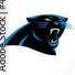 Panthers