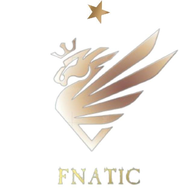 TEAM FNATIC