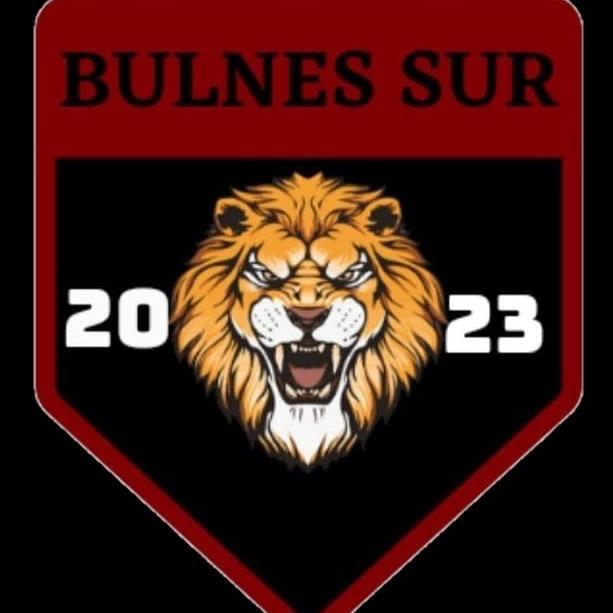 Bulnes Sur