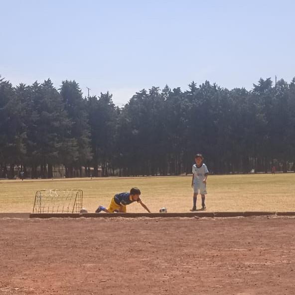 LIGA MX