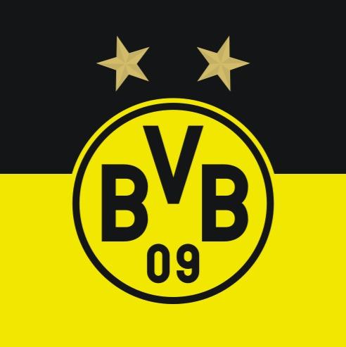 Borussia dortmund