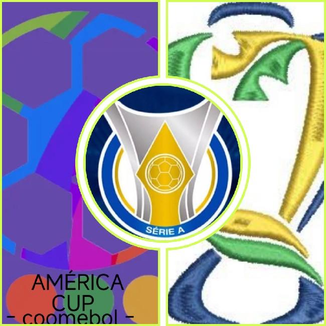 Brasileirão série A / america cup / copa do Brasil