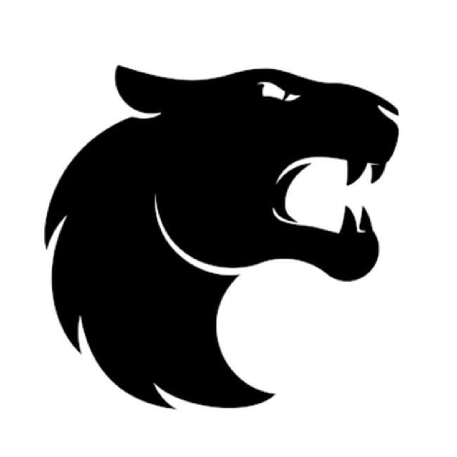 FURIA Esports