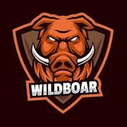 TEAM WILD BOARD B