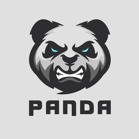 TEAM PANDA B