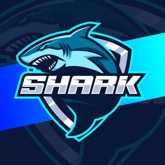 TEAM SHARK B