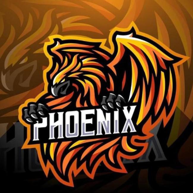 TEAM GOLD FENIX