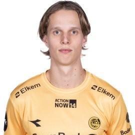 Ulrik Saltnes