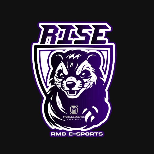 RISE RMD E-SPORTS