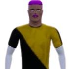 Chip