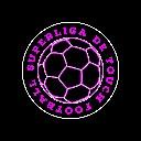 Superliga de Touch Football