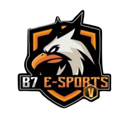 B7 ESPORTS