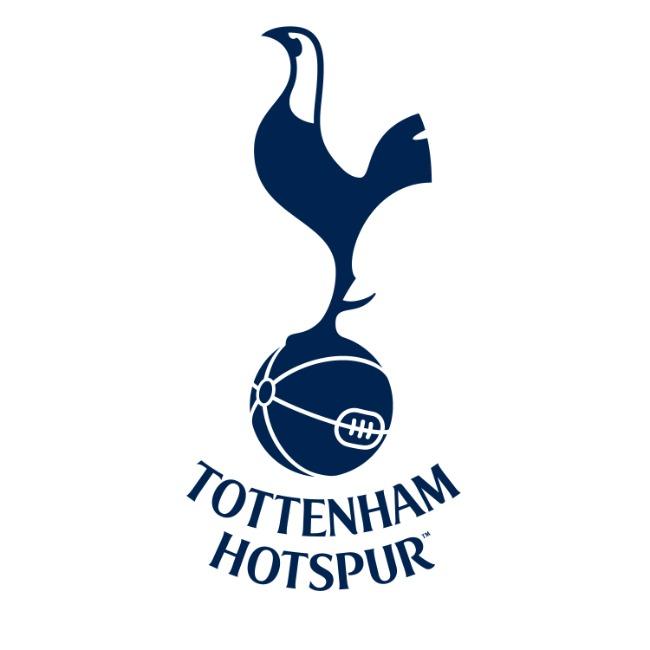 Platini (Tottenham)