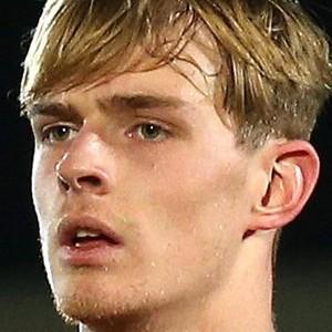 Toby COLLYER