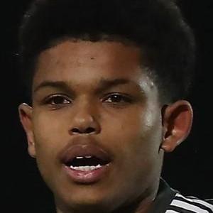 Shola SHORETIRE