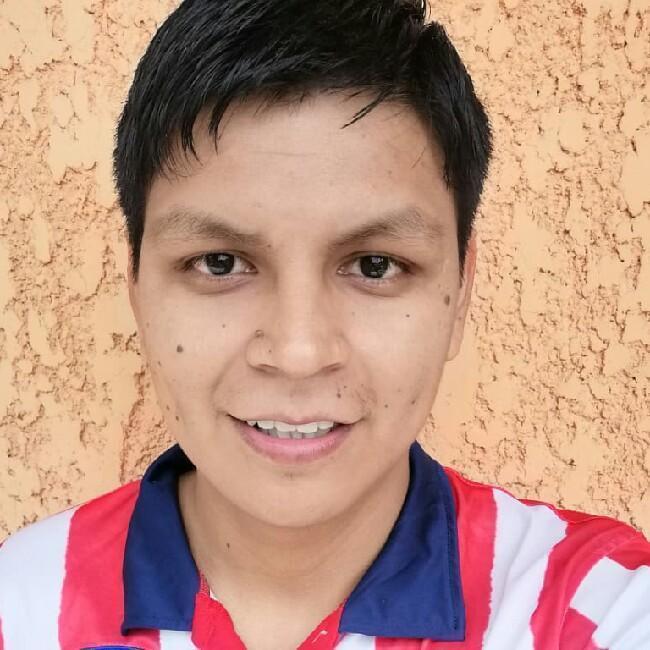 Erick Michael Terrazas Peralta