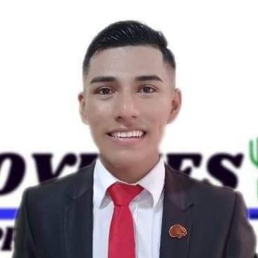 Michael Meneses Mamani