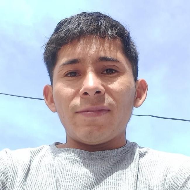 Wilson Tejerina Villalobos
