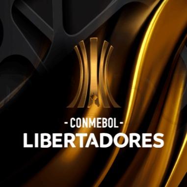 COPA LIBERTADORES (RDB) 05/24